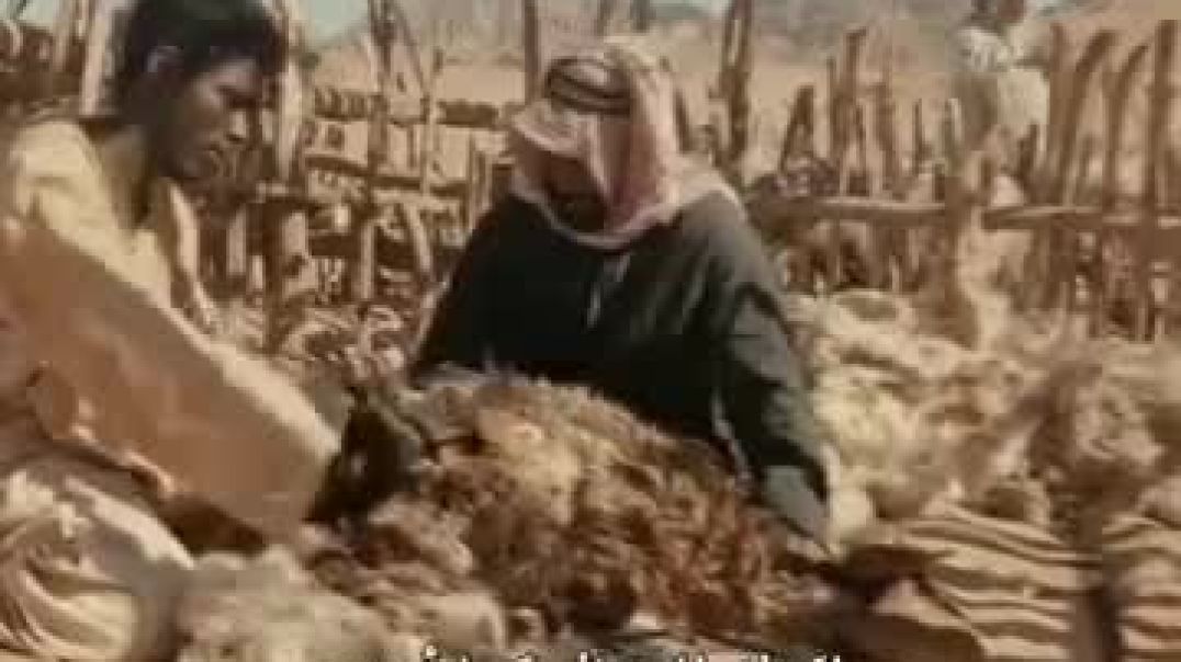 فلم حياة الماعز