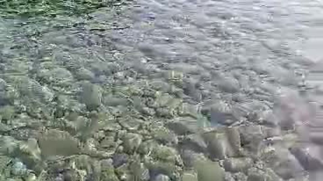 VID-20240805-WA0011