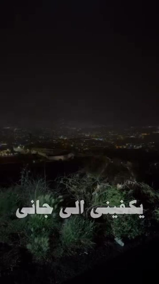 VID_20240916_194133_276