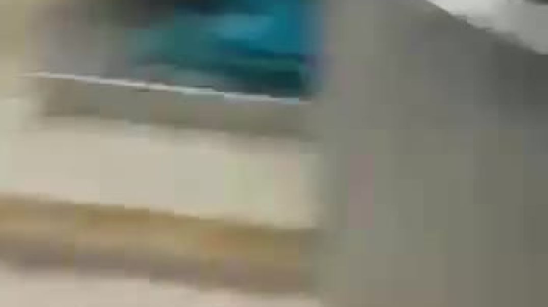 ⁣طرق استخلاص زيت الزيتون