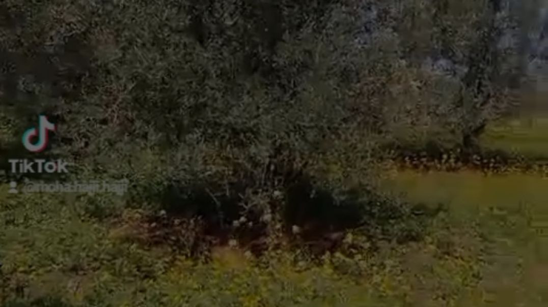 جمال الطبيعة بالبادية المغربية
