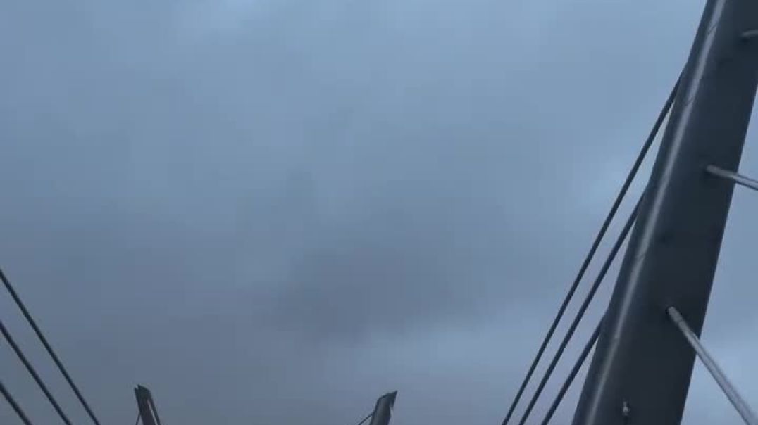 ⁣حلوه يابلادي