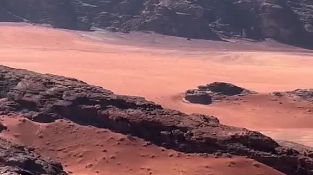 ⁣حلوه يابلادي