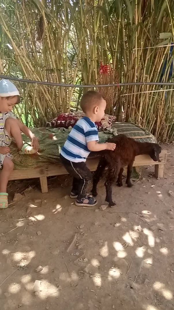براءة اجمل احساس