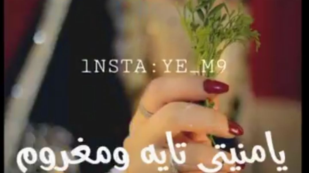 ⁣من_عالم_امريكا_وتكسا