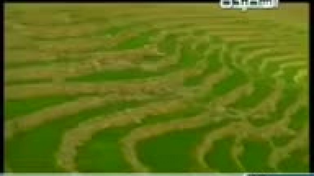 امل_عرفة_دمت_للتاريخ_اغنية_وطنية