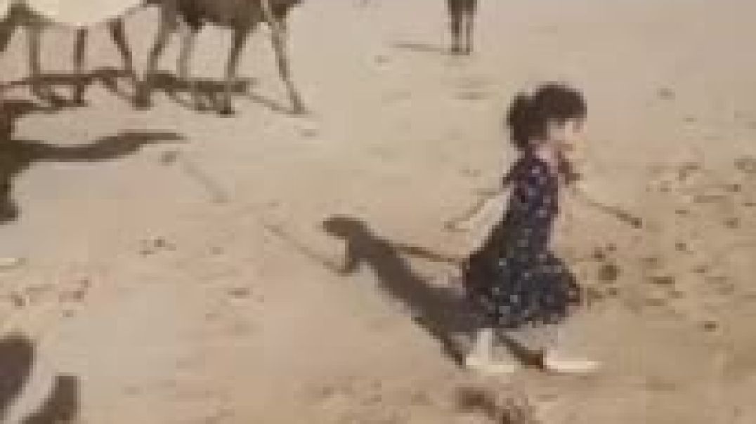 ⁣ابكي على صاحبي الغالي