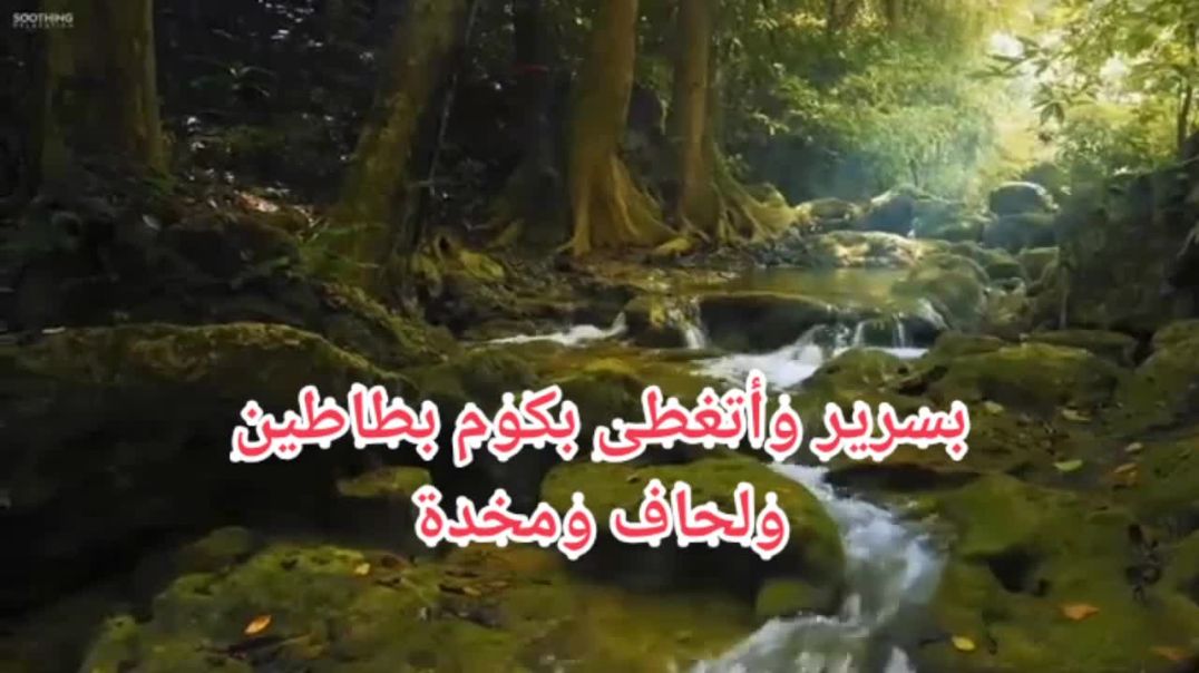 ⁣صعلكة قصيدة للشاعر والروائي سامح الحسيني عمر(720P_HD)