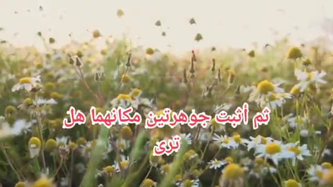 ⁣لا تصالح رائعة الشاعر الكبير أمل دنقل