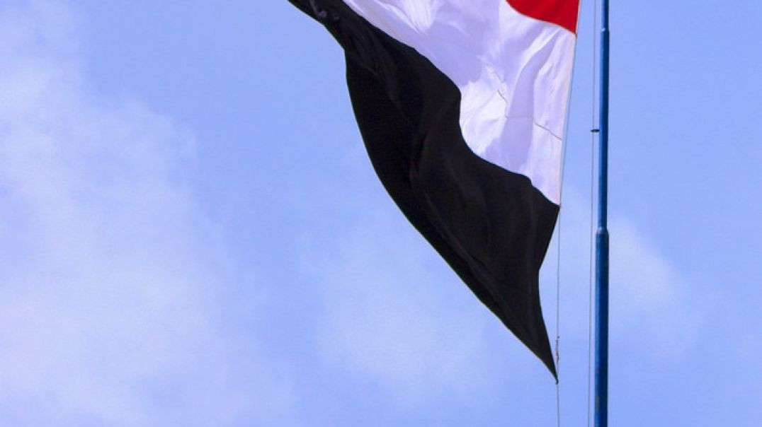 ⁣مواطن يمني يرفع علم أليمن على مزرعته