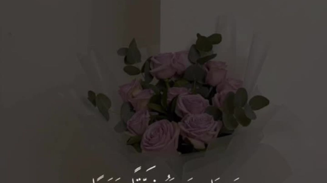 قرآن كريم