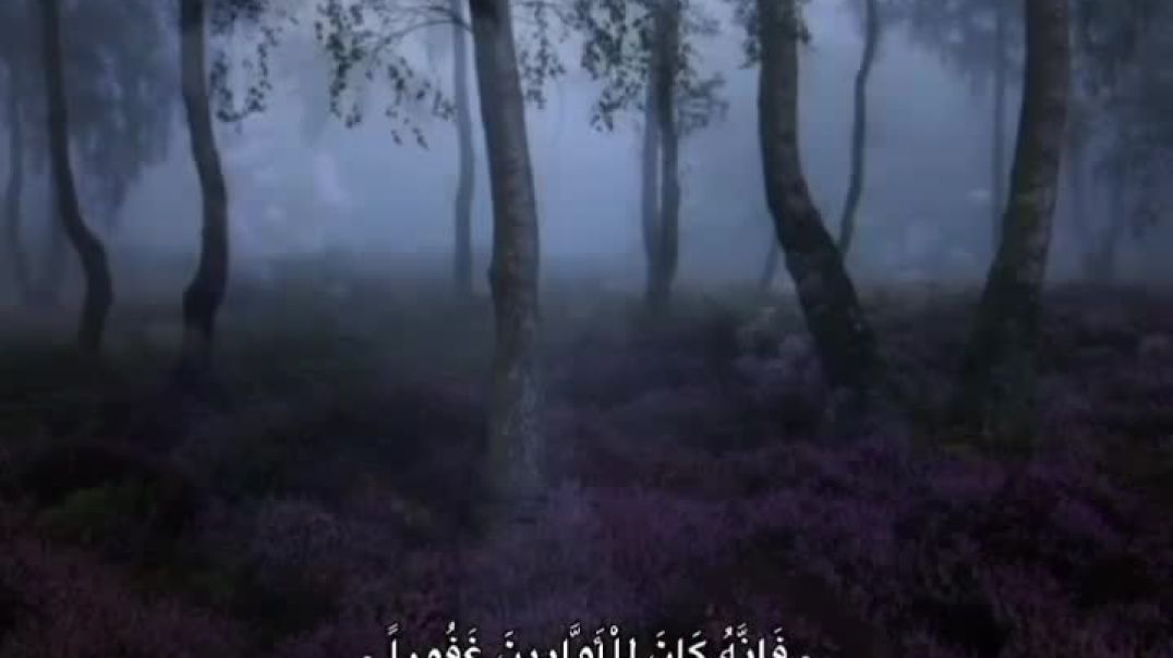 قرآن كريم