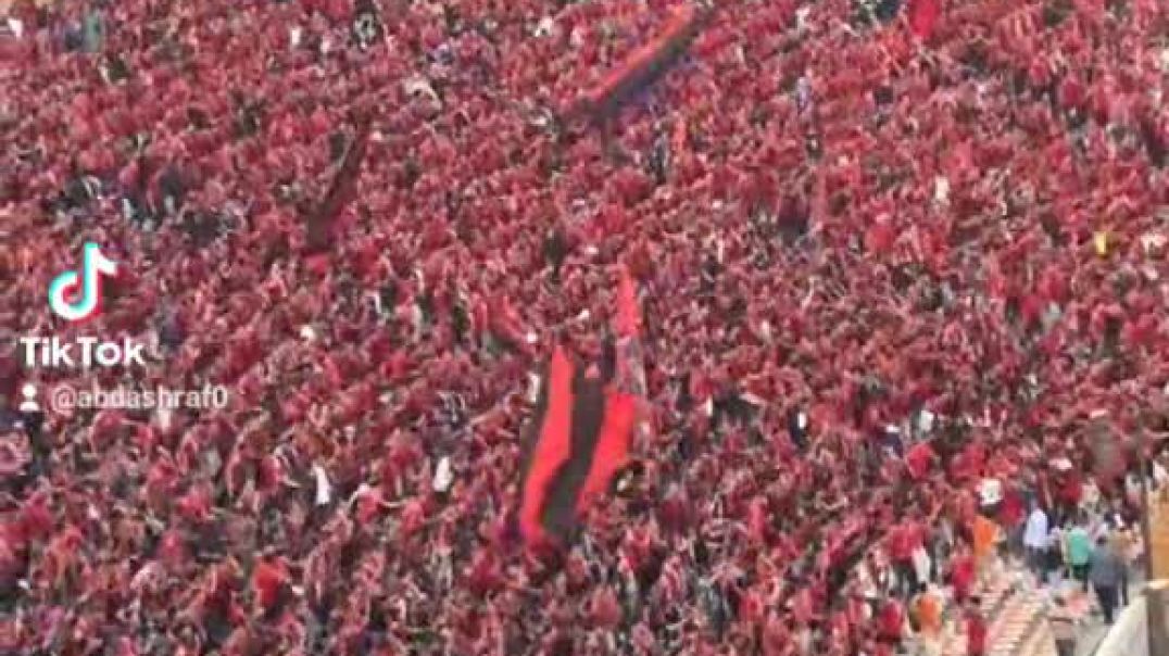 ⁣جمهور الاهلي المصري