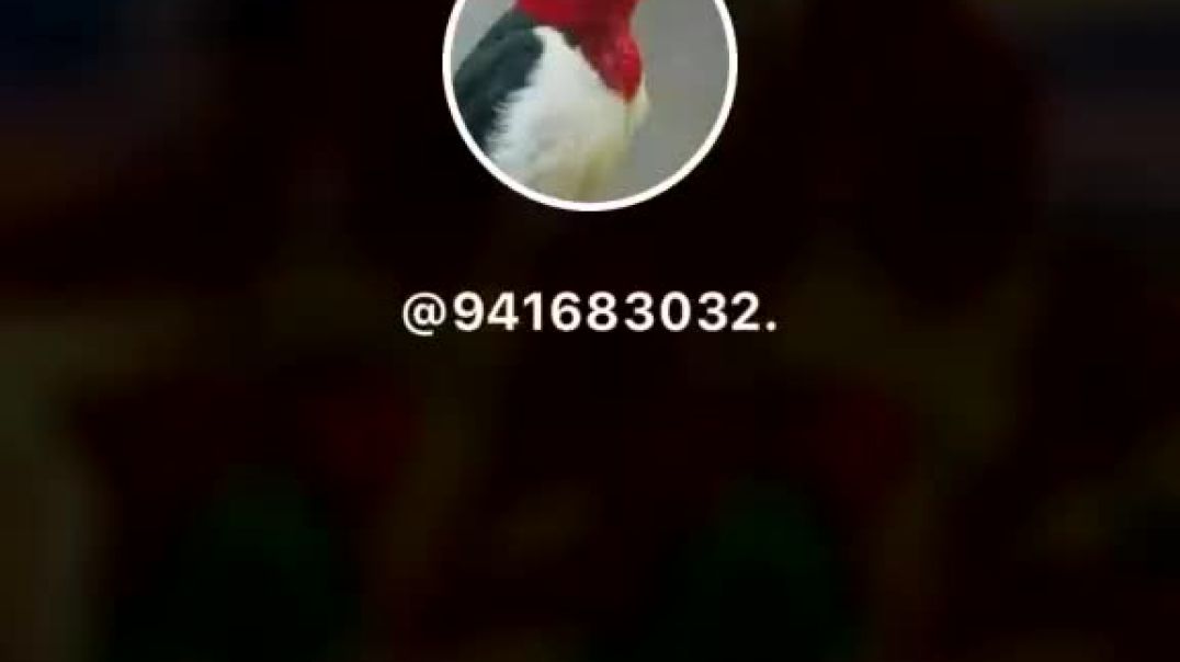 ⁣الصلاة علي النبي
