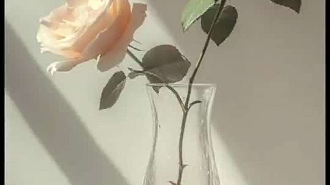 ⁣دعاء الرزق