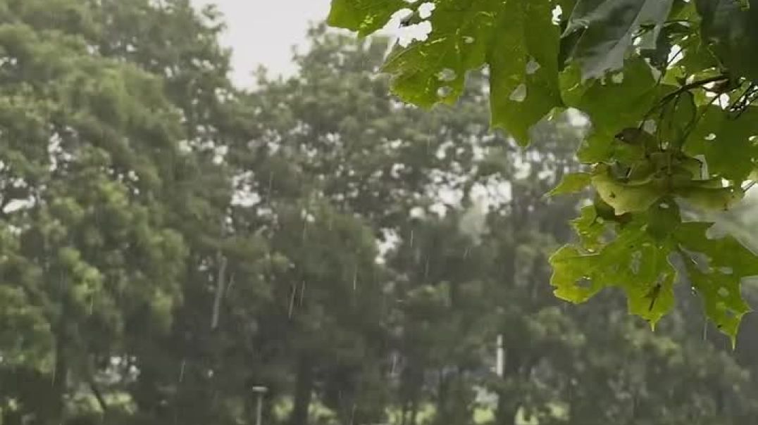 Heavy rain 🫀🌧️Moments for psychological comfort