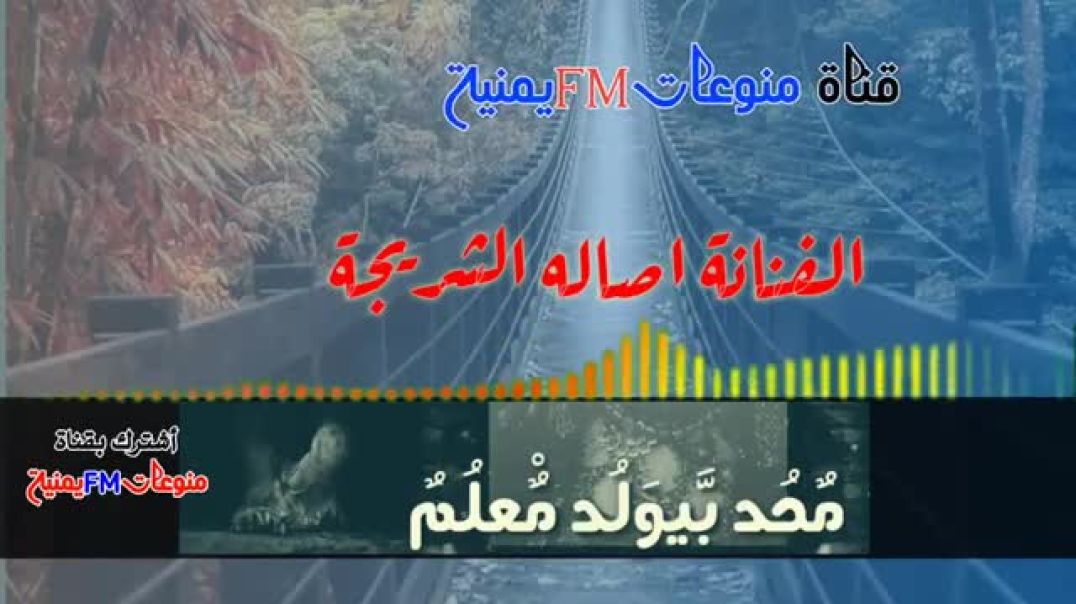 ⁣الفنانه اصاله الشريجه اغلط لاكن تعلم مش عيب لو كنت غلطان
