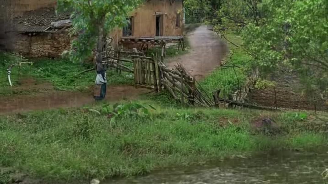 ⁣Beautiful Village Life 🌲☘️🍃💫✨🏡(MP4)