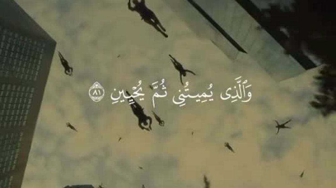 ⁣جميل 4