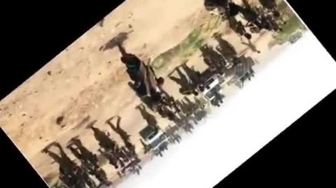 زامل_حيا_بداعي_الموت_قصيد_يمني(360p)