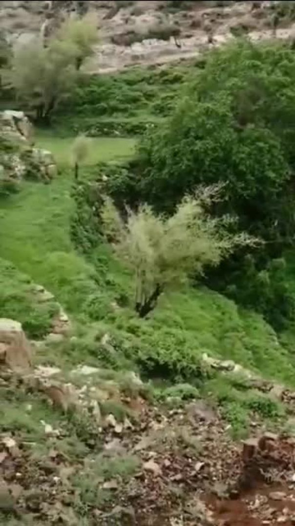 جمال يأسر القلوب اكتشف روعة الطبيعة في جبل أسلم بحجة  اليمن