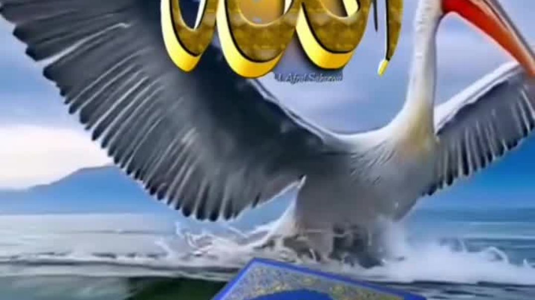 قران كريم