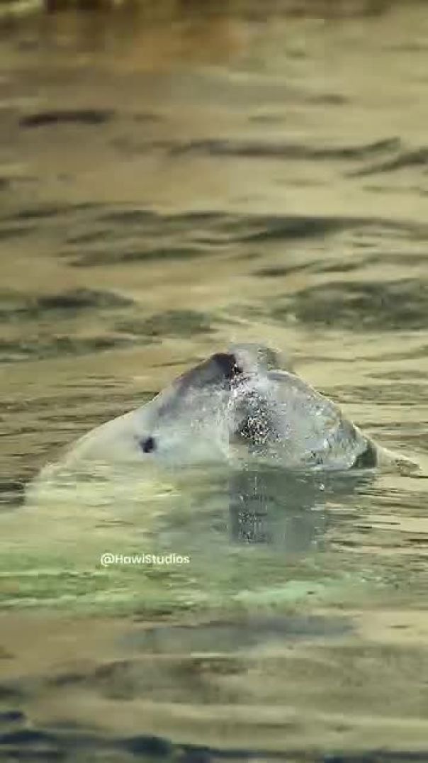 ⁣المحيط الجميل سر من اسرار الكون