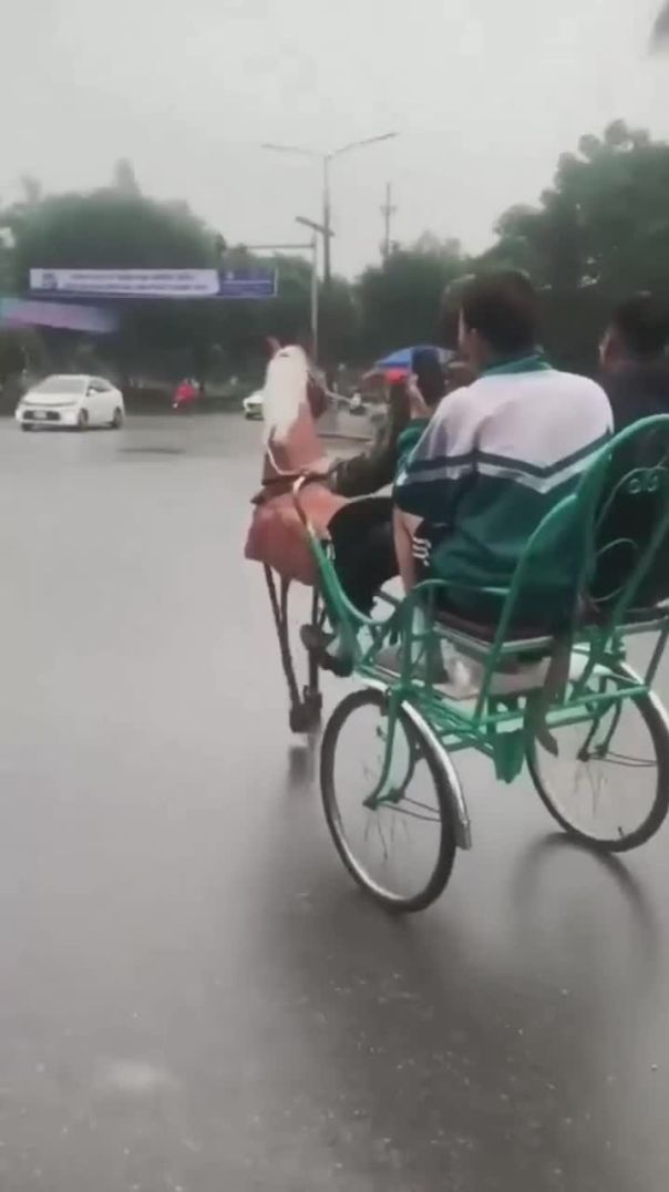 مبدع