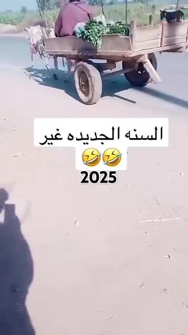 سنه جديده ع الأبواب، لا تطلبوا من السنوات أن تكوون أفضل، كونوو أنتم الأفضل فيها ‎ فنحن من يتغير ، ام