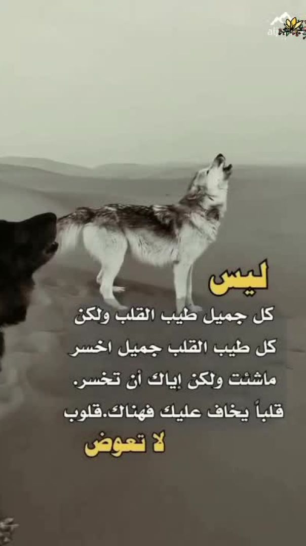 اصحاب القلوب الطيبه دائماً جميلون