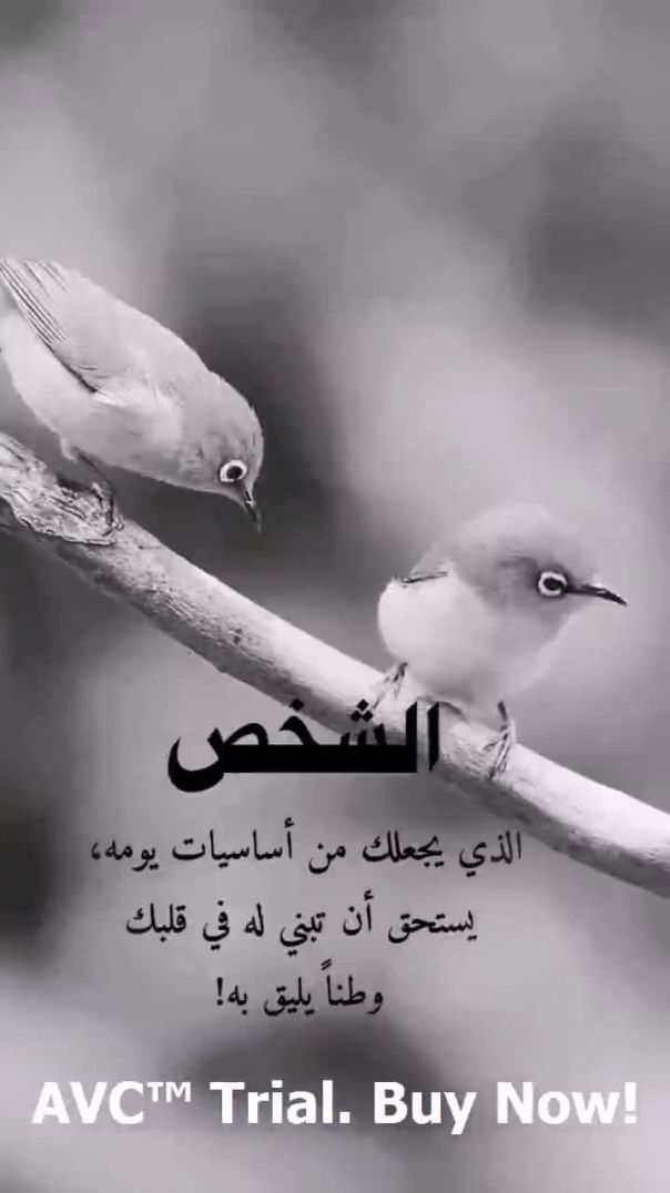 الشخص