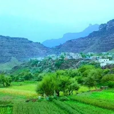 ABU AMir 
