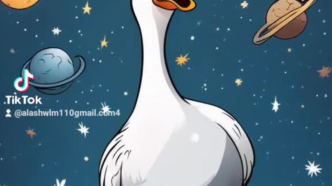 ⁣قط رائع