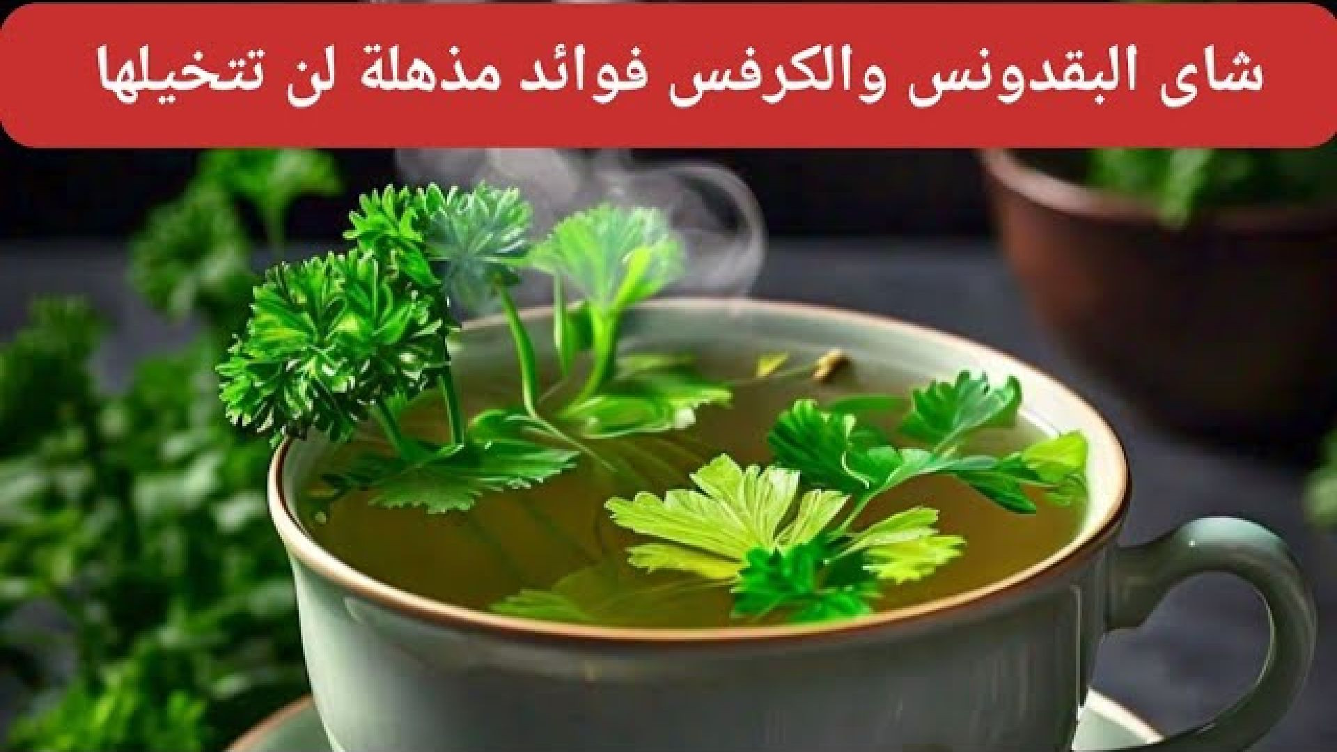 ⁣اكتشف السر وراء فوائد شاي البقدونس والكرفس للصحة!