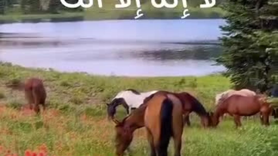 ⁣Mamosta Abdullah Qasri(360p)