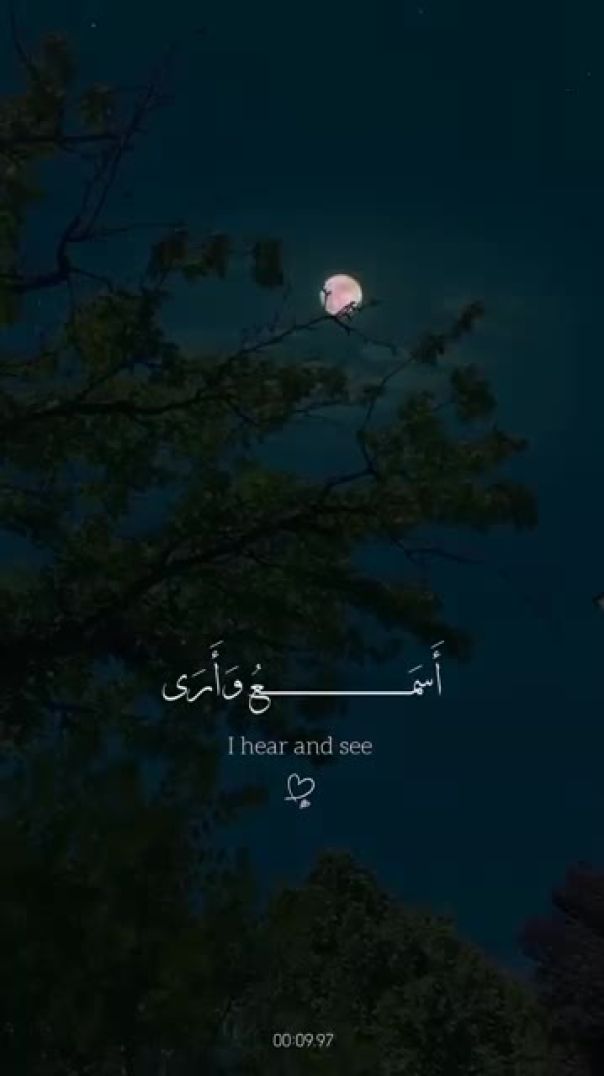 استخدموا_الصوت_🖤🙂(360p)