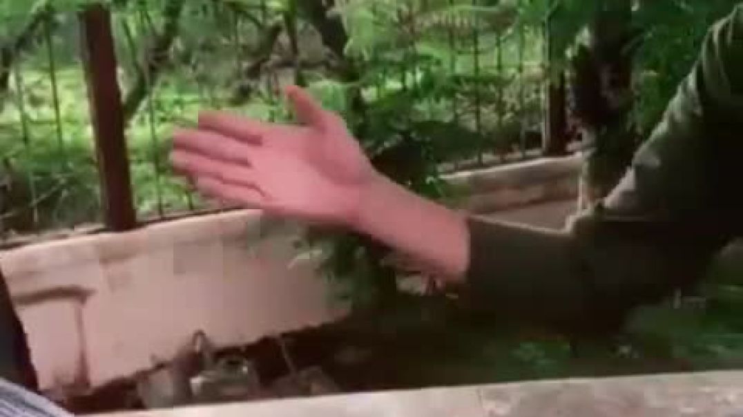 VID-20191201-WA0035