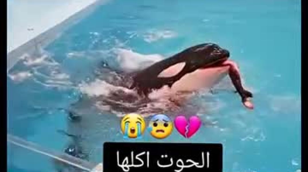⁣چسيكا البنت اللي اكلها الحوت 😭💔(360P)