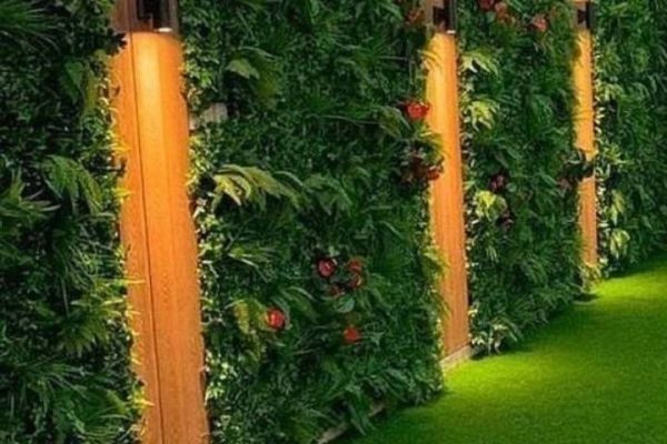 قناتنا مظلات، وسواتر الرياض