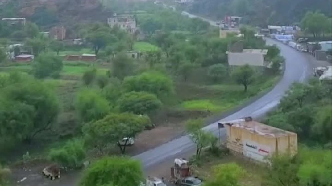 ⁣شلنا يا بو جناحين